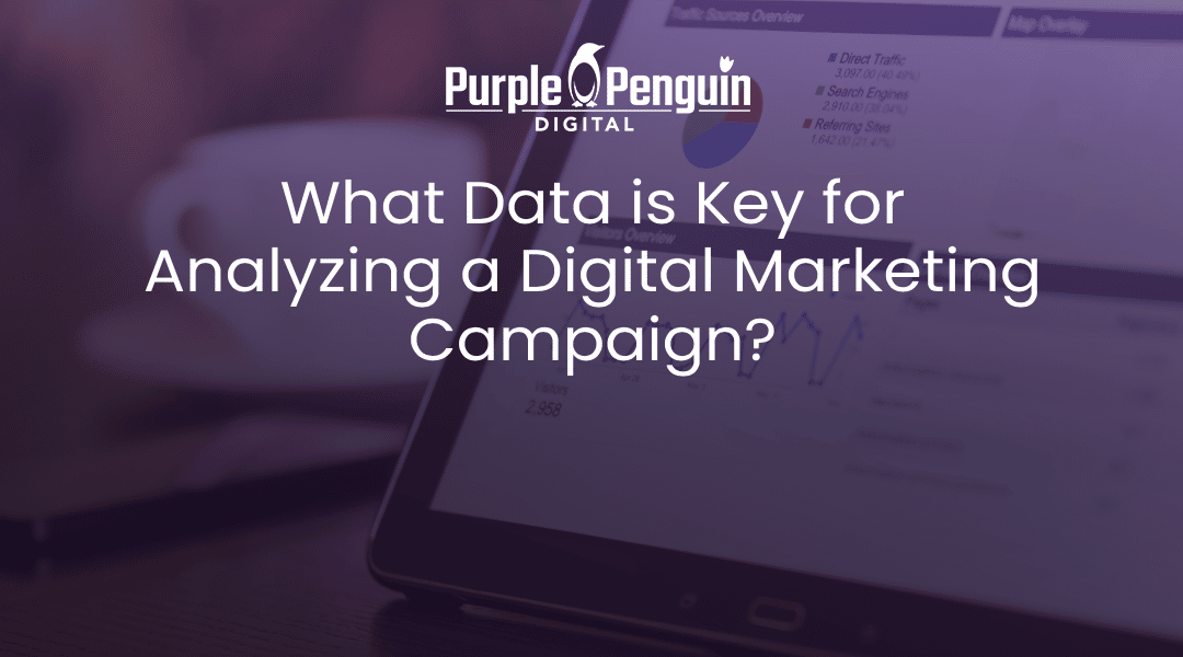 What Data Is Key For Analyzing A Digital Marketing Campaign?